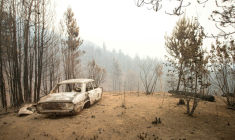 Une voiture calcinée est visible dans une zone touchée par un incendie de forêt à El Hoyo, dans la région patagonienne de la province de Chubut, en Argentine, le 7 janvier 2026 ( AFP / Martin LEVICOY )