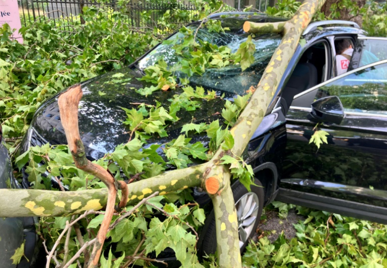 Un véhicule endommagé par la chute d'un arbre pendant un violent orage la veille, le 26 juin 2025 à Paris ( AFP / Stéphane DELFOUR )