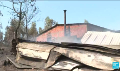 Incendies maîtrisés au Portugal : au moins 5 morts et 100 000 hectares brulés