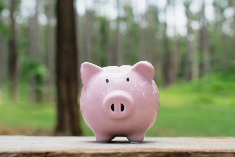 (Crédits photo: ©   Pintira - stock.adobe.com)