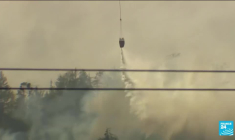 Feux de forêt : le Canada suffoque