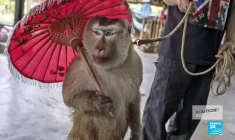 Le théâtre du Châtelet rénové, et le meilleur de la photo et des arts premiers