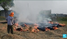Pollution en Inde : New Delhi au bord de l'asphyxie