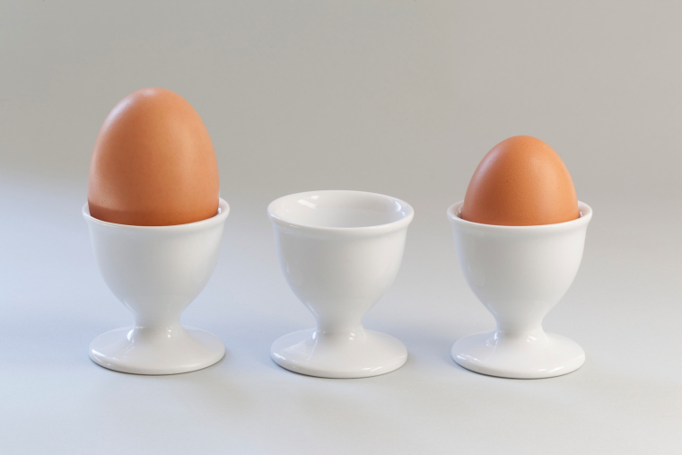 Comme les humains, les poules peinent &agrave; s&rsquo;adapter aux fortes chaleurs, et ce n&rsquo;est pas sans incidence sur la production des &oelig;ufs. (cr&eacute;dit: Adobe Stock)
