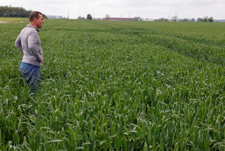 FRANCE: LE BLÉ ET LES VIGNOBLES TOUCHÉS PAR LES VIOLENTS ORAGES DU WEEK-END