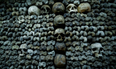 Des crânes et des ossements humains alignés contre un mur des catacombes de Paris, le 24 mars 2026 ( AFP / Kenzo TRIBOUILLARD )