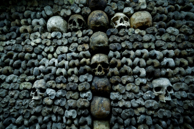 Des crânes et des ossements humains alignés contre un mur des catacombes de Paris, le 24 mars 2026 ( AFP / Kenzo TRIBOUILLARD )