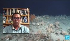 Disparition de 14% du corail dans le monde entre 2009 et 2018 (rapport)