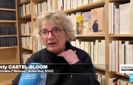 Orly Castel-Bloom : "Depuis le 7 octobre, la joie de créer a complètement disparu en moi"