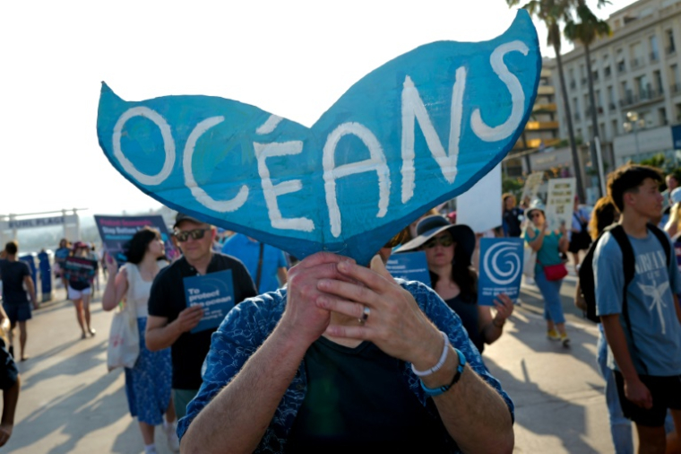 Un manifestant participe à la Marche Bleue sur la Promenade des Anglais avant la Conférence des Nations unies sur les océans, dans la ville de Nice, sur la Côte d'Azur, le 7 juin 2025 ( AFP / Valery HACHE )