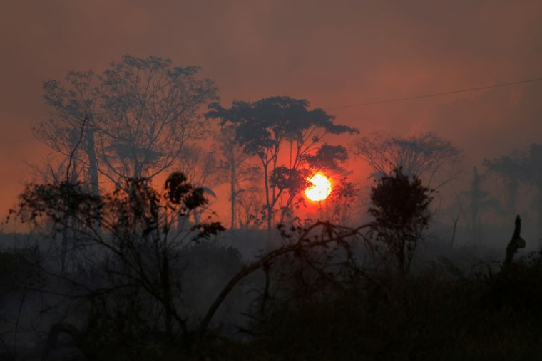 COP26: PLUS DE 100 DIRIGEANTS PROMETTENT DE STOPPER LA DÉFORESTATION D'ICI 2030