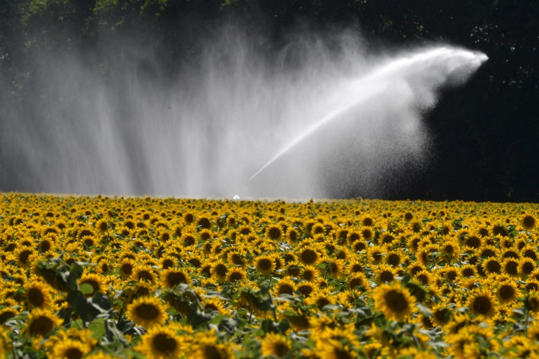 ( AFP / JEAN-FRANCOIS MONIER )