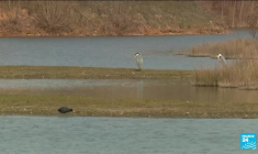 Marseille, capitale de la biodiversité jusqu'au 11 septembre