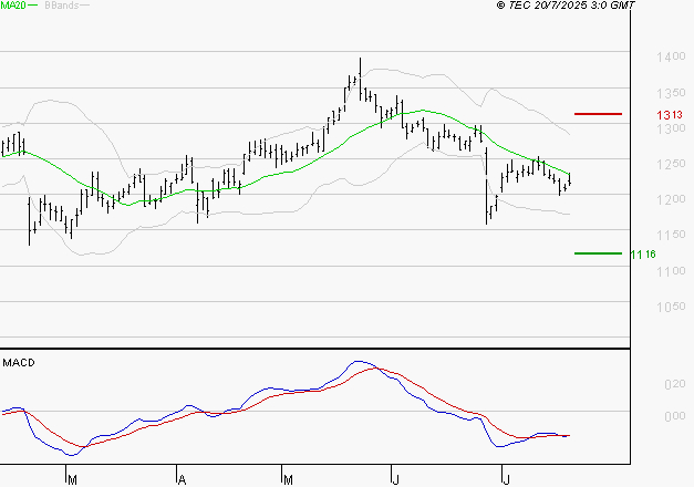 CARREFOUR SA : La tendance baissière peut reprendre