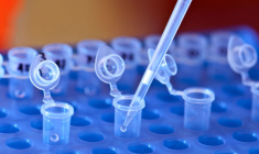 La biotech pourrait être obligée de relancer de nouveaux essais cliniques. (© CC UMSES)