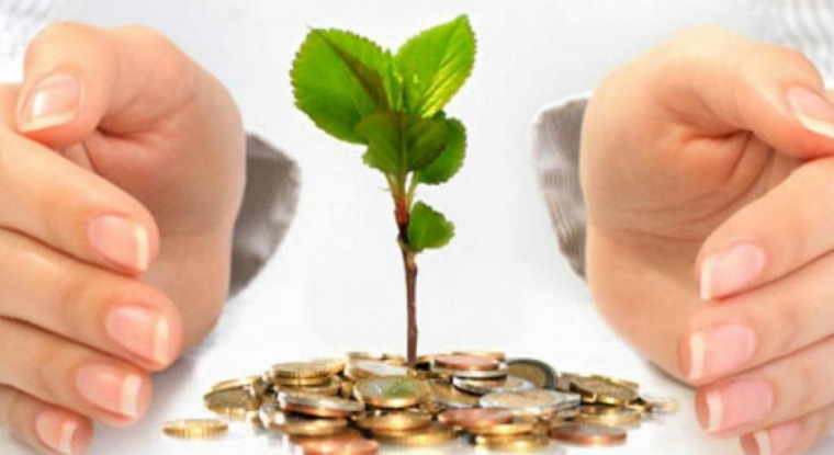 De nombreux gérants pratiquent un double langage sur la transition énergétique et écologique d'après les ONG. (© DR)