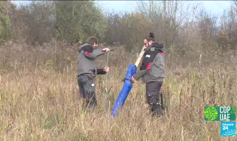 France : les tourbières, ces puits de carbone essentiels à la planète