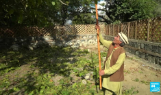 Au Pakistan, la tribu animiste des Kalash dans le viseur des Taliban