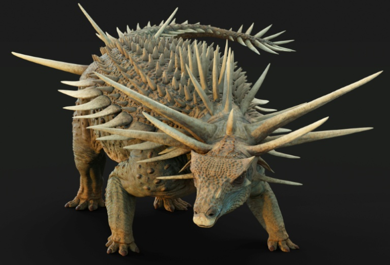Image d'un dinosaure Spicomellus, publiée par le muséum d'Histoire naturelle de Londres le 28 août 2025 ( NATURAL HISTORY MUSEUM / MATT DEMPSEY )