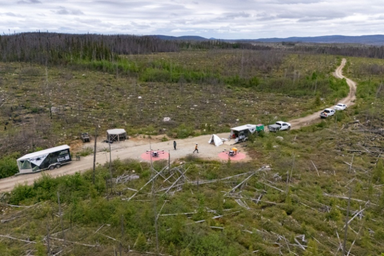 Cette zone du nord du Québec a brûlé lors des grands incendies de 2023 au Canada, des drones aident à replanter des arbres pour reboiser, le 19 juin 2025. ( AFP / François Robert-Durand )