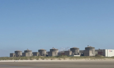 Nucléaire: l'arrivée massive de méduses fait fermer des réacteurs à Gravelines