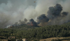 Un incendie à Tournissan, dans l'Aude, le 5 août 2025 ( AFP / Idriss BIGOU-GILLES )