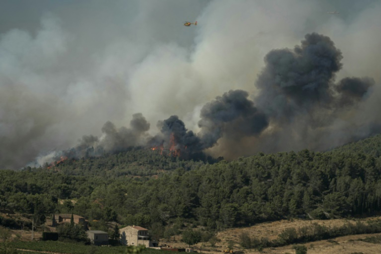 Un incendie à Tournissan, dans l'Aude, le 5 août 2025 ( AFP / Idriss BIGOU-GILLES )