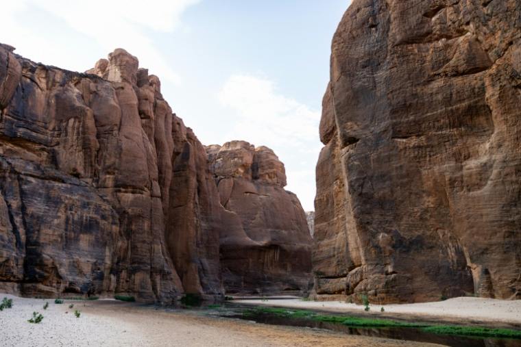 Le Guelta d'Archei, dans l'Ennedi-Ouest, au Tchad, le 13 juillet 2025 ( AFP / Joris Bolomey )