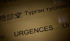 La grippe circule encore activement, mais l'épidémie semble fléchir ( AFP / Kiran RIDLEY )