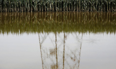 Conséquences des inondations à Zhuozhou, province de Hebei