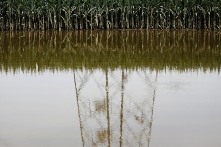 Conséquences des inondations à Zhuozhou, province de Hebei