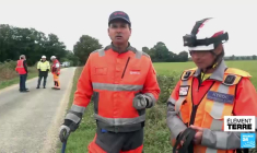 France : des chiens capables de détecter l'eau potable