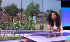 L'aide internationale, un cadeau empoisonné ?