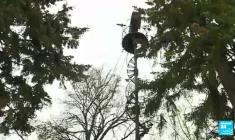 Sauveurs d'éoliennes