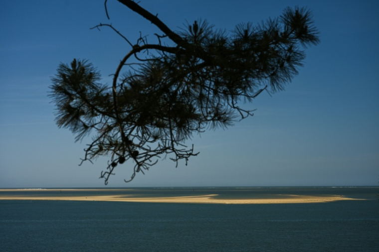 Le banc d'Arguin, îlot "mouvant" de sable près d'Arcachon, en Gironde, le 20 avril 2026 ( AFP / Philippe LOPEZ )