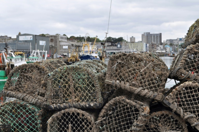Des casiers à crabes sur un quai du port de Plymouth, dans le sud-ouest de l'Angleterre, le 21 août 2025 ( AFP / Joe JACKSON )