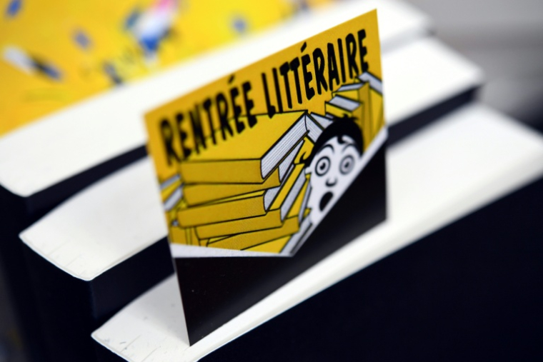 Paris concentre plus de la moitié des librairies d'Île-de-France  ( AFP / Fred TANNEAU )