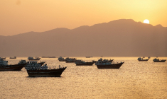 Des navires dans le détroit d'Ormuz, Musandam