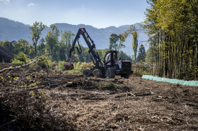 Un engin forestier dans une zone boisée pour la construction de la controversée autoroute A412, près de Perrignier, en Haute-Savoie, le 14 octobre 2026 A coalition of associations, farmers and residents on October 14, 2026 is seeking to halt construction of the A 412 motorway, arguing that its environmental impact runs "counter to the climate emergency." While a court ruling is expected on October 15, 2026, protesters have staged near-daily demonstrations, resulting in dozens of detentions and fines, according to organizers. ( AFP / Fabrice COFFRINI )