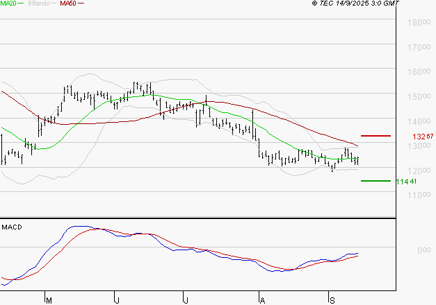 CAPGEMINI : Retour possible sur les supports