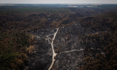 L'incendie en forêt de Fontainebleau a notamment paralysé la circulation sur la ligne à grande vitesse reliant Paris au Sud-est (illustration) ( AFP / SIMON WOHLFAHRT )