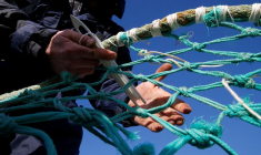 PÊCHE: LA GRANDE-BRETAGNE ACCORDE DES LICENCES SUPPLÉMENTAIRES