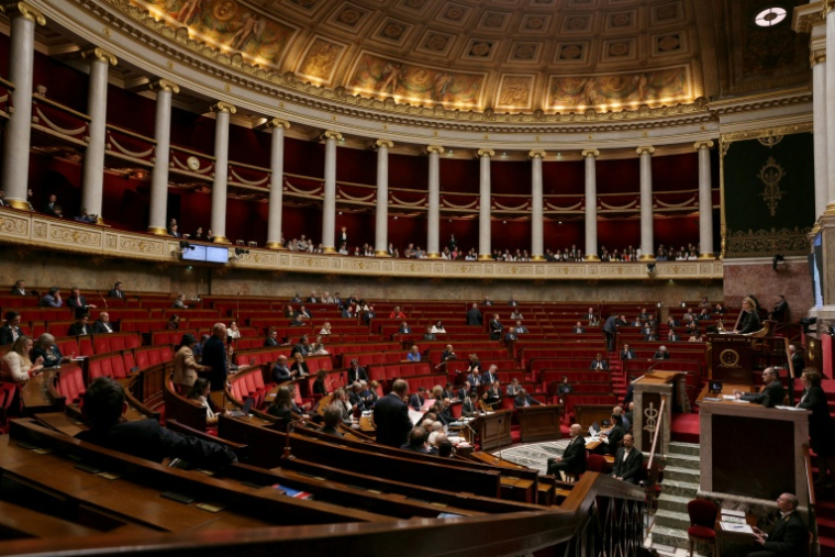 L'assemblée nationale à Paris le 13 mai 2026 ( AFP / Thomas SAMSON )