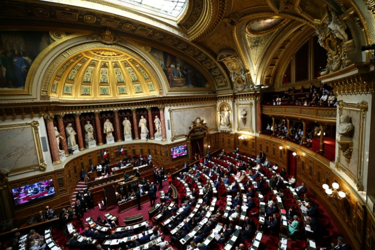 La commission des Lois du Sénat examine mercredi le projet de loi de lutte contre les ingérences étrangères ( AFP / Anne-Christine POUJOULAT )