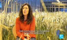 Biodiversité : graines en danger