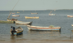 Des barques de pêche sur la Costa do Sol à Maputo (Mozambique) le 28 mai 2026 ( AFP / Emidio JOZINE )
