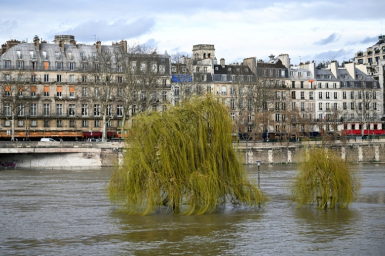 La Seine en crue à Paris le 23 février 2026 ( AFP / Anna KURTH )