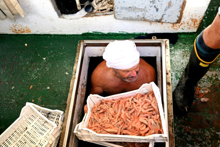 Un pêcheur décharge sa pêche au port de Lampedusa après une journée en mer, le 8 juillet 2026 en Italie ( AFP / Tiziana FABI )