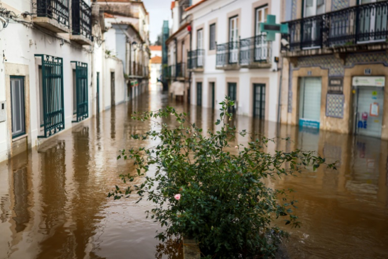 Une rue inondée dans la commune d'Alcacer do Sal, dans le sud du Portugal, le 5 février 2026 ( AFP / PATRICIA DE MELO MOREIRA )