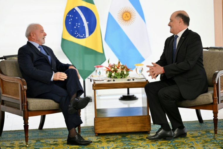 Le président brésilien Luiz Inácio Lula da Silva (g.) s'entretient avec le nouvel ambassadeur argentin au Brésil, Guillermo Daniel Raimondi, lors d'une rencontre au palais du Planalto à Brasilia, le 14 novembre 2024 ( AFP / EVARISTO SA                   )